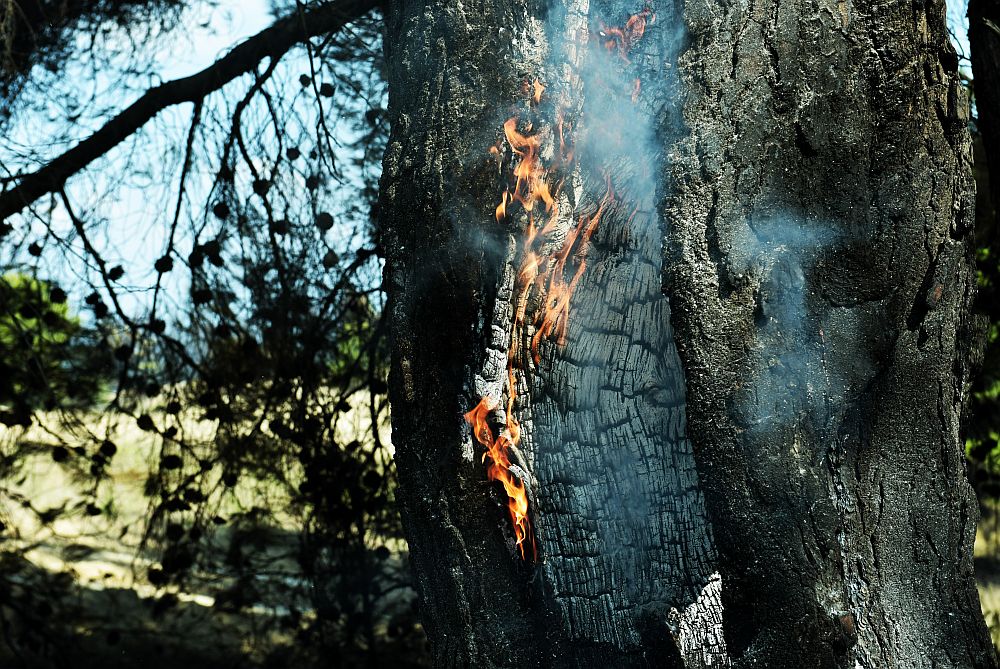 Συναγερμός για φωτιά και στον Κάλαμο