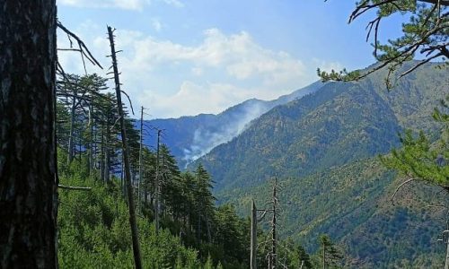 Συνεχίζεται η φωτιά και στον Εθνικό Δρυμό της Βάλια Κάλντα (Photo/Video)