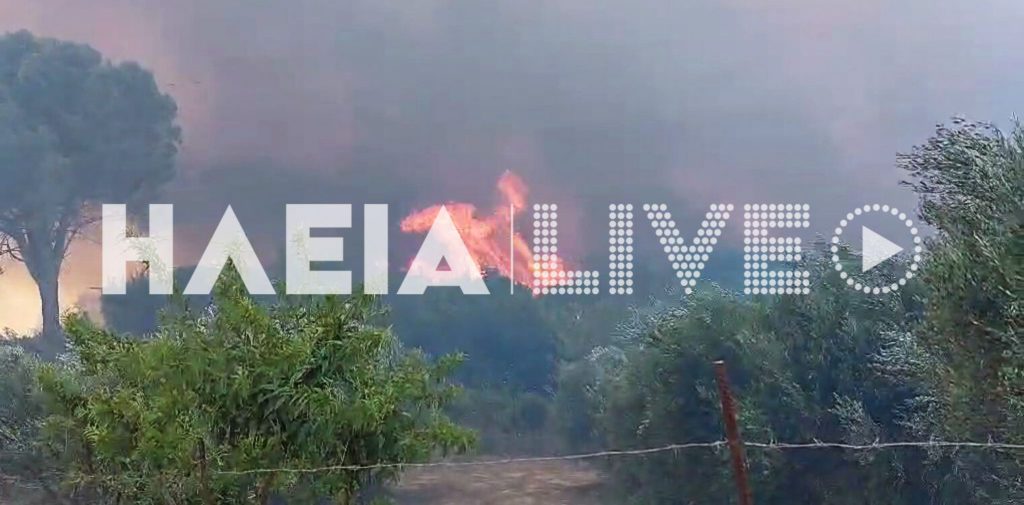 Φωτιά στην Ηλεία: Αναζωπύρωση της πυρκαγιάς – Εκκενώνεται προληπτικά το χωριό Λάττα (Video)