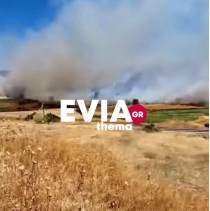 Φωτιά στο Σχηματάρι: Εντολή εκκένωσης για το Δήλεσι – Απούσα η Πολιτική Προστασία καταγγέλλει κάτοικος (Photos – Video)