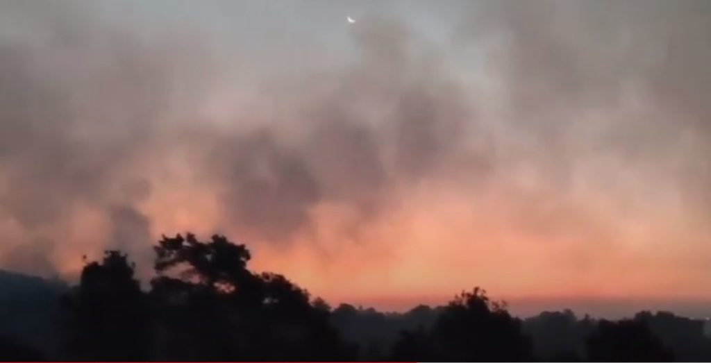 Έβρος: Συνεχίζεται η μάχη με τις φλόγες στη Δαδιά – Στάχτη περισσότερα από 25.000 στρέμματα