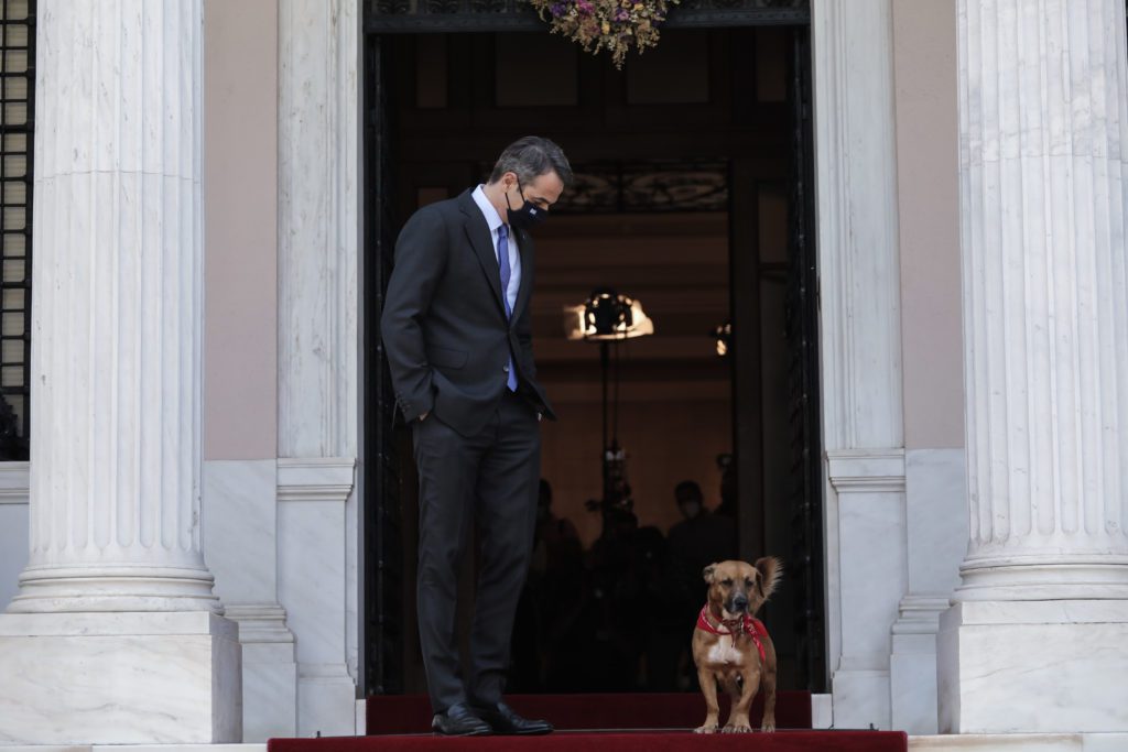 Τελιγιορίδου για Μητσοτάκη: Σε λίγο θα μοιράζει ευθύνες και στον Πίνατ!