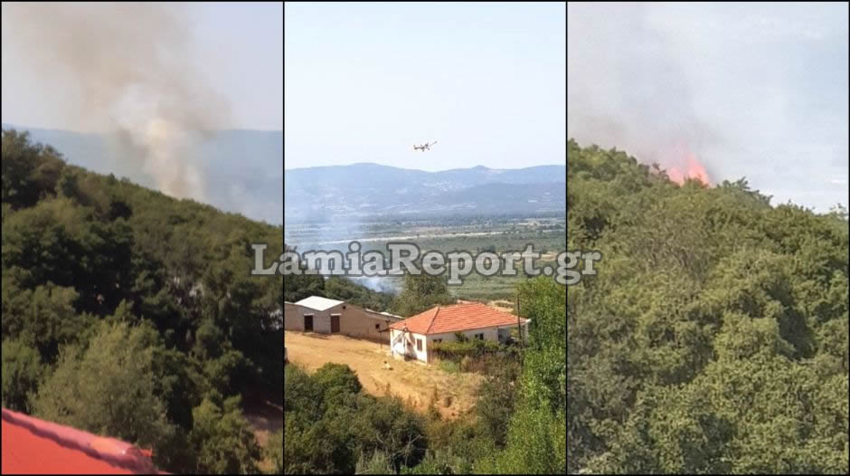 Πυρκαγιά στη Φθιώτιδα με τέσσερα μέτωπα