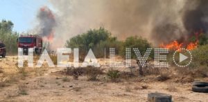 Συναγερμός στην πυροσβεστική: Πυρκαγιές σε Σπιάτζα και Πελόπιο Ηλείας