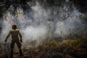 Φωτιά σε δασική έκταση στον Κισσό Πηλίου &#8211; Επί τόπου πυροσβεστικές δυνάμεις