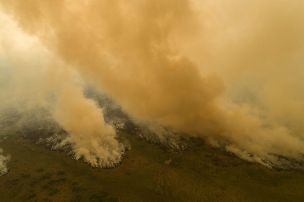 Αρνητικό ρεκόρ δωδεκαετίας για τις πυρκαγιές στον Αμαζόνιο τον Αύγουστο