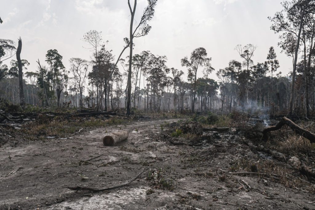 Αμαζόνιος: Στο έλεος της πύρινης λαίλαπας το τροπικό δάσος – Ο χειρότερος Αύγουστος από το 2010