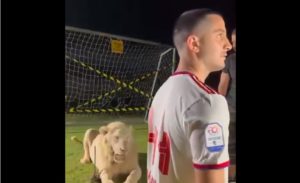 Ένα λιοντάρι τρόμαξε τον Κώστα Μανωλά &#8211; Η αντίδραση του ποδοσφαιριστή που έγινε viral (Video)