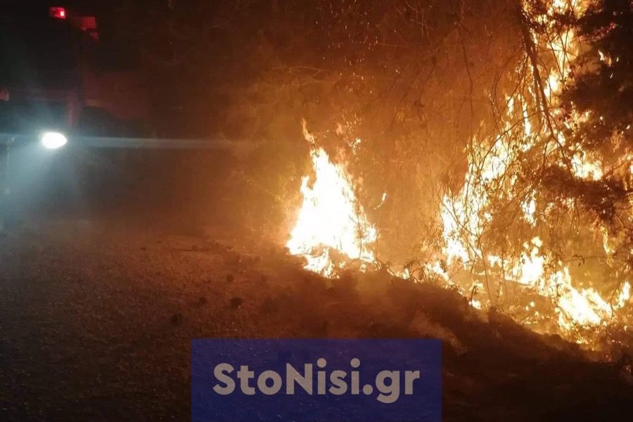 Δασική πυρκαγιά στη Λέσβο – Συναγερμός στην Πυροσβεστική