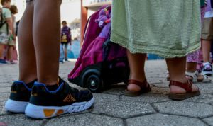 Θεσσαλονίκη: Φίδια έκαναν φωλιά σε νηπιαγωγείο &#8211; Συναγερμός στους γονείς, σε αναστολή το σχολείο (Video)