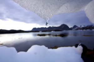 Κλιματική αλλαγή: Το λιώσιμο των πάγων αναβιώνει… «ζόμπι-ιούς», ηλικίας 48.500 ετών