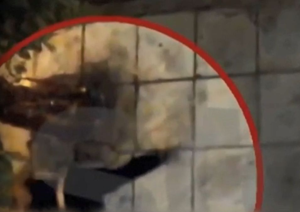 «Δράκος του Πειραιά»: Συγκλονίζει ο άνδρας που έσωσε την 20χρονη – «Θα πέθαινε – Η αστυνομία μου έλεγε να μην ανοίξω» (Video)