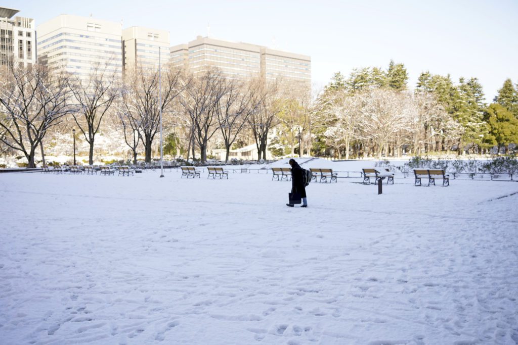 Σφοδρές χιονοπτώσεις στην Ιαπωνία – 17 νεκροί και δεκάδες τραυματίες