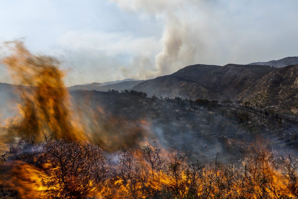 Θλιβερό ρεκόρ δασικών πυρκαγιών στην Ευρώπη το 2022