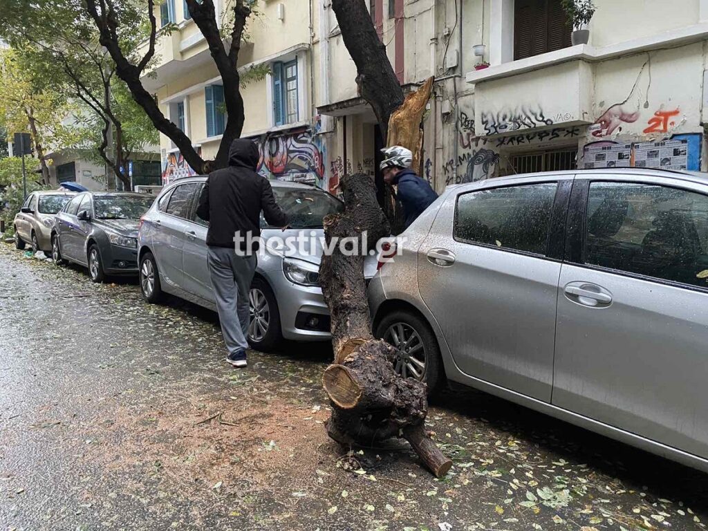 Κακοκαιρία «Ariel»: Έπεσαν δέντρα στο κέντρο της Θεσσαλονίκης – Προβλήματα ηλεκτροδότησης στον νομό (Videos)
