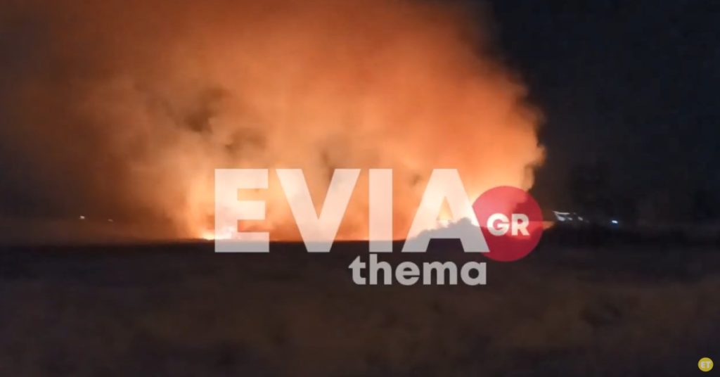Μεγάλη φωτιά στην Εύβοια: Νύχτα αγωνίας για τους κατοίκους – Κοντά σε σπίτια οι φλόγες (Videos)