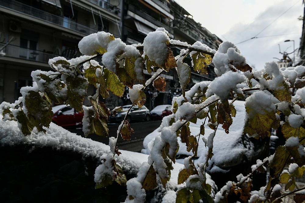 Κακοκαιρία Μπάρμπαρα: Έως την Τετάρτη τα φαινόμενα – Εκτίμηση για έως 60 εκατοστά χιόνι στα ορεινά της Αττικής