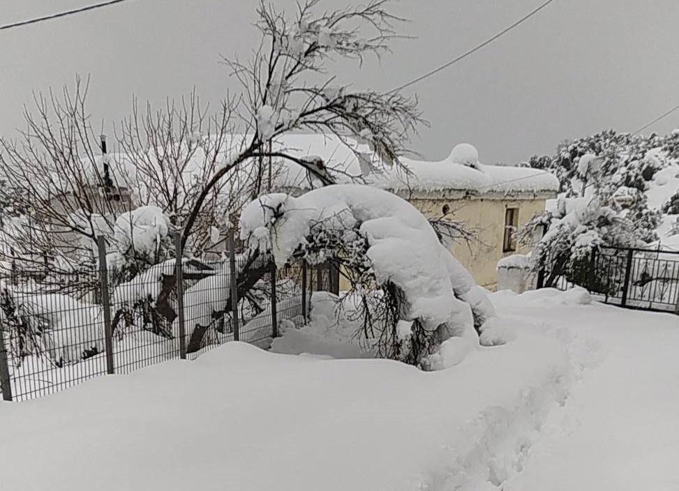 «Σαρώνει» την Εύβοια ο χιονιάς: Εγκλωβισμοί κατοίκων, διακοπές ρεύματος και εκκλήσεις για εκχιονιστικά