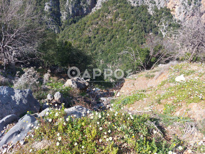 Νεκρό εντοπίστηκε το ζευγάρι των Αμερικανών που αγνοούνταν στην Μεθώνη