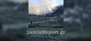 Μεγάλη φωτιά στη Μενδενίτσα Φθιώτιδας:  Ισχυροί άνεμοι στην περιοχή &#8211; Συναγερμός στην πυροσβεστική (Video)