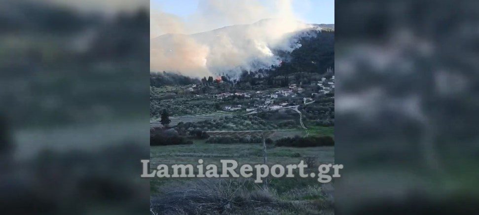 Μεγάλη φωτιά στη Μενδενίτσα Φθιώτιδας:  Ισχυροί άνεμοι στην περιοχή – Συναγερμός στην πυροσβεστική (Video)