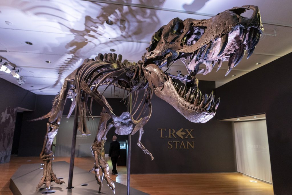 Ελβετία: Πουλήθηκε έναντι 5,6 εκατ. ευρώ σκελετός Τυραννόσαυρου Ρεξ