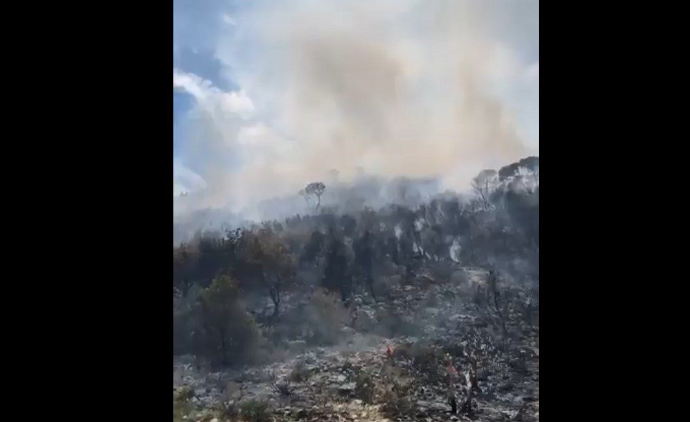 Μεγάλη φωτιά σε δασική έκταση στα Μέγαρα – Συναγερμός στην πυροσβεστική (Video)