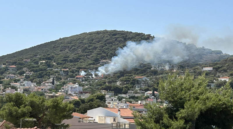 Φωτιά σε πευκόφυτη περιοχή στην Αρτέμιδα