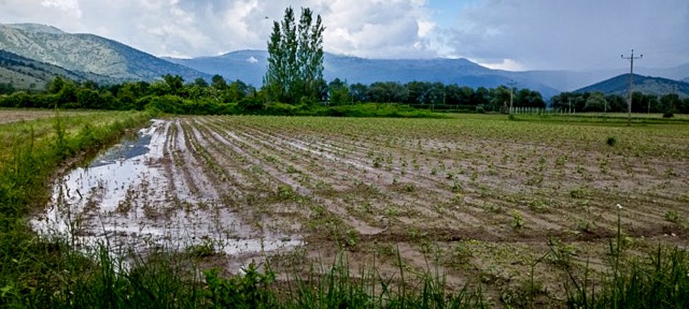 Κοζάνη: Μεγάλες καταστροφές σε καλλιέργειες στον κάμπο Πτολεμαΐδας