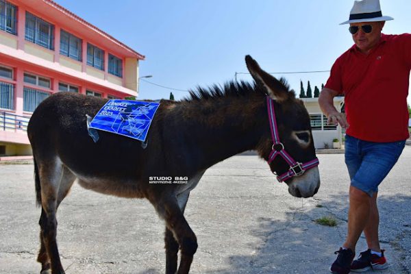 Ναύπλιο: Άφησε το άλογο και πήγε με τον… γάιδαρο για ψήφο (Photos)