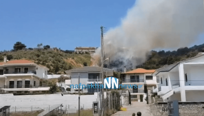 Πυρκαγιά στη Ναύπακτο: Κοντά σε σπίτια στην περιοχή Πλατανίτης – Οι πρώτες εικόνες (Video)