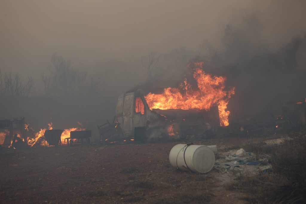 Φωτιά στο Λαγονήσι: Κάηκε το καταφύγιο ζώων Fazoo Farm – «Καήκαμε τέλος…»
