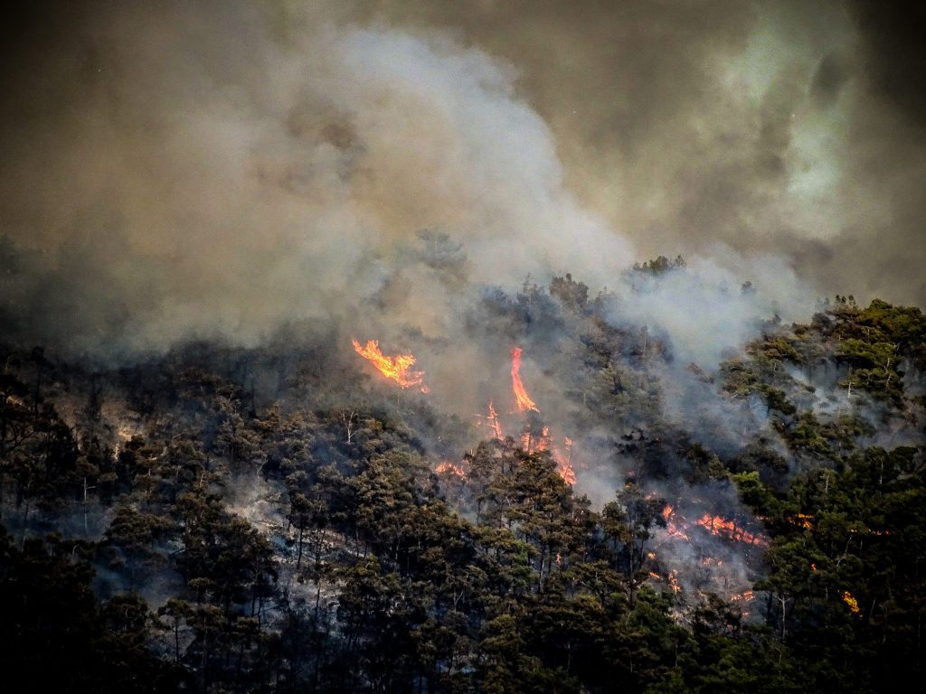 Μάχη για τρίτη νύχτα στα πύρινα μέτωπα – Στάχτη εκατοντάδες χιλιάδες στρέμματα γης (Videos)