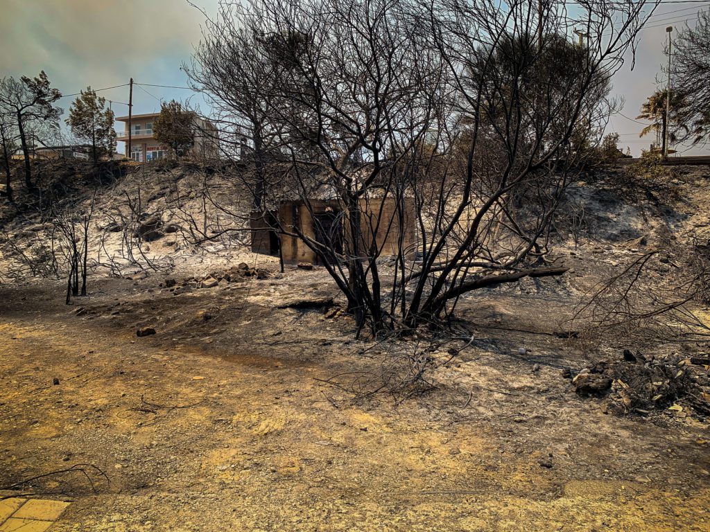 Κυβερνητικά ψίχουλα: 534 ευρώ στους εργαζόμενους σε πυρόπληκτες επιχειρήσεις υποσχέθηκε ο Άδωνης Γεωργιάδης