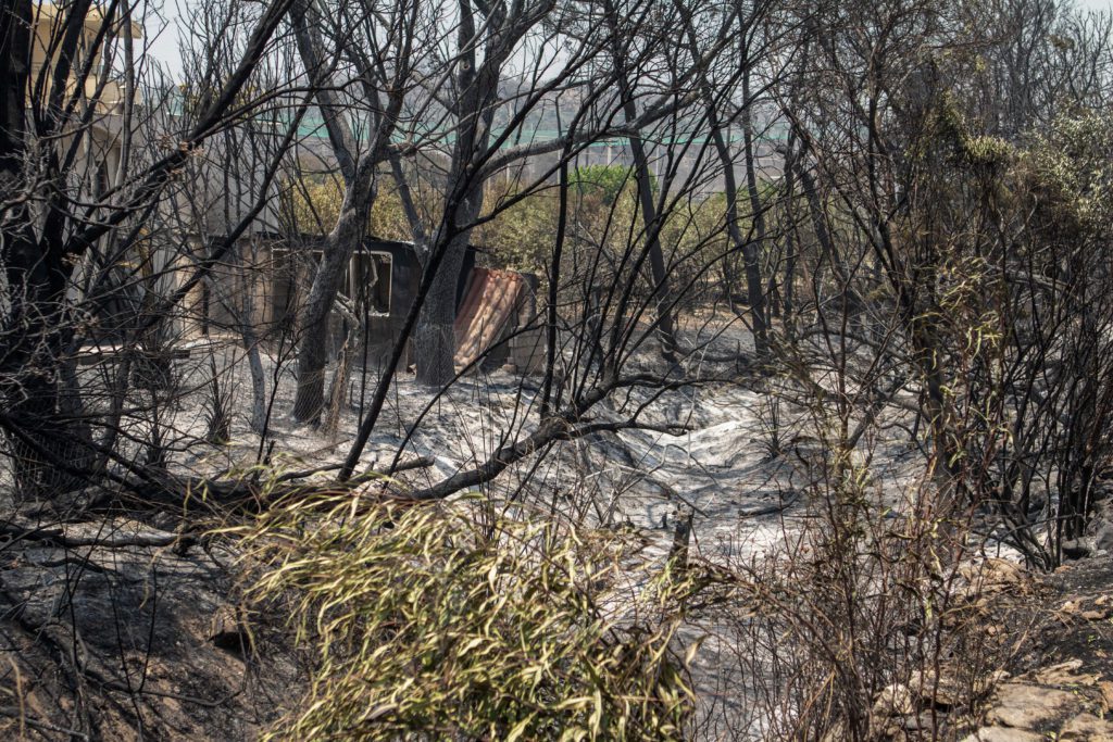 Βόλος: Φωτιά σε αγροτική έκταση στο Φυτόκο