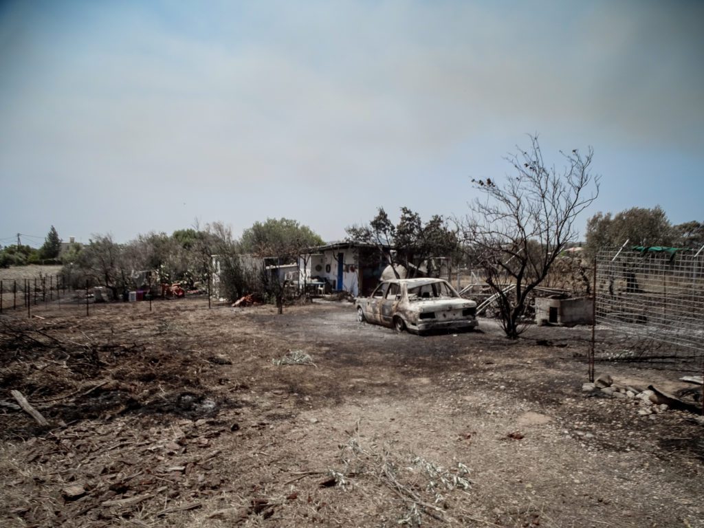 2.500 ζώα και 50.000 ελαιόδενδρα κάηκαν στη Ρόδο – Πρώτη αποτίμηση από τον ΕΛΓΑ
