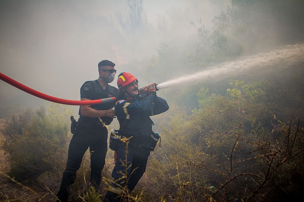 Φωτιά σε δασική έκταση στην Κηφισιά – «Την προλάβαμε», λέει ο δήμαρχος