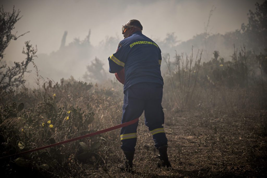 Πυρκαγιά σε δασική έκταση στην Πέλλα – Συναγερμός στην πυροσβεστική