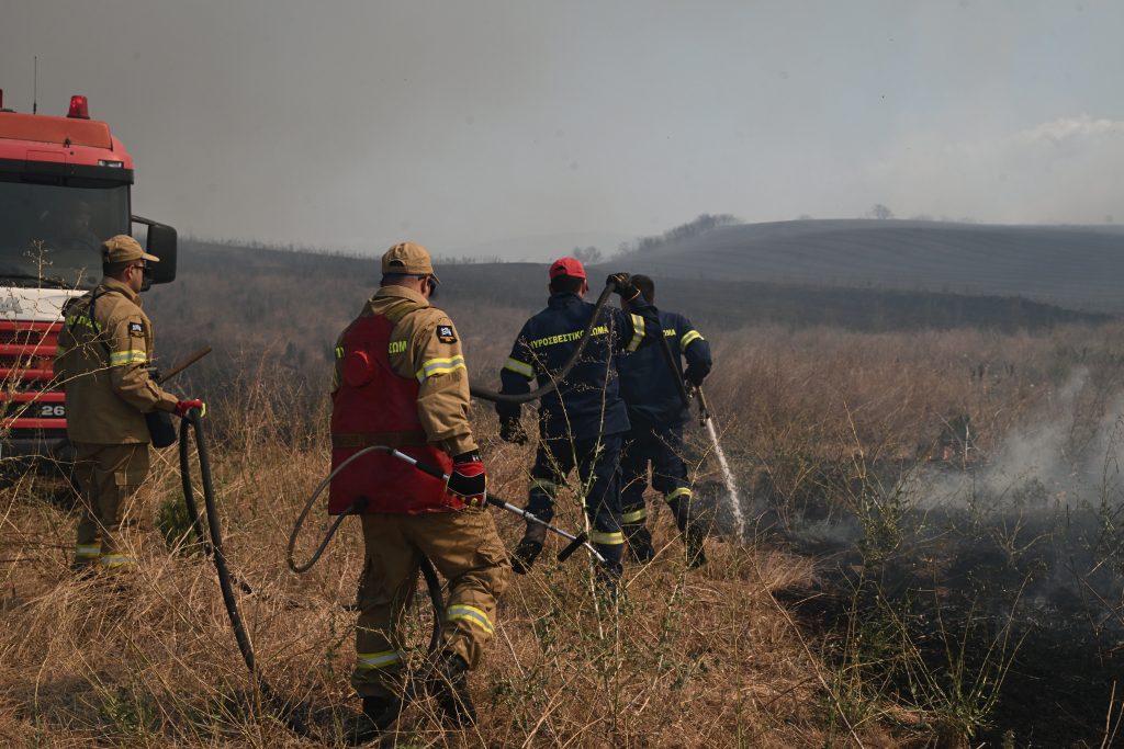 Νέα φωτιά σε περιοχή της Χαλκιδικής – Συναγερμός στην πυροσβεστική