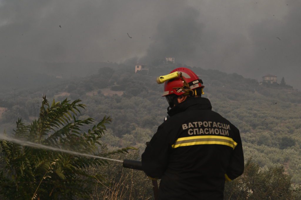 Η Ελλάδα χάνει πολλαπλάσια στρέμματα δάσους από τη Γαλλία