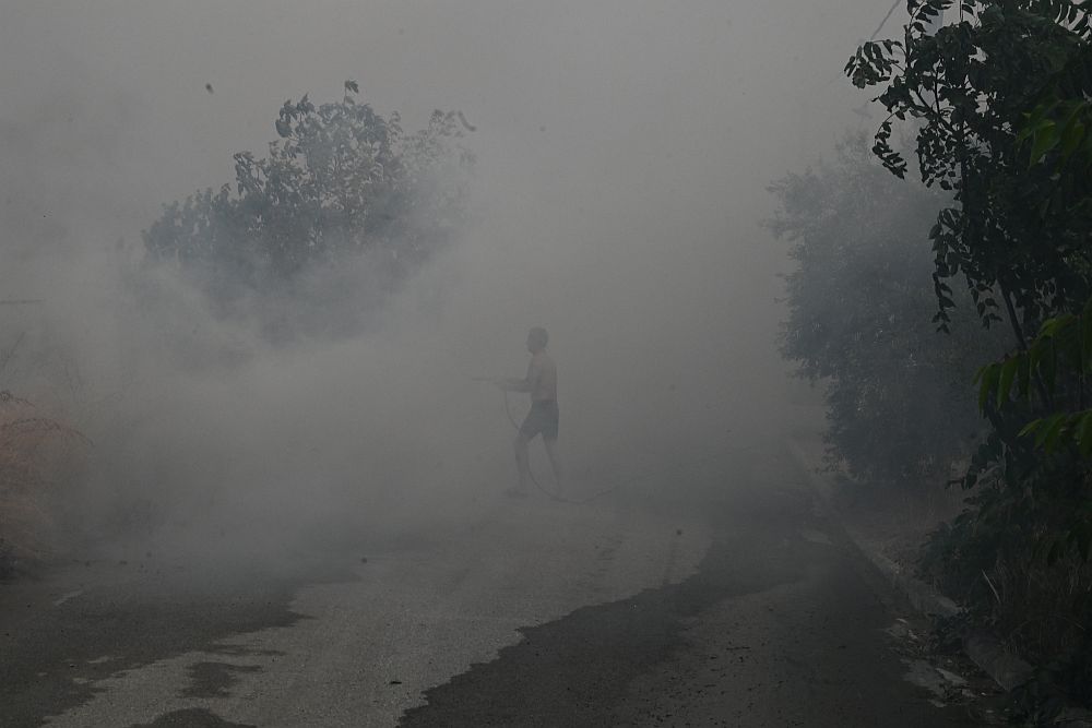 Χαλκίδα: Υπό μερικό έλεγχο η πυρκαγιά στο Δοκό