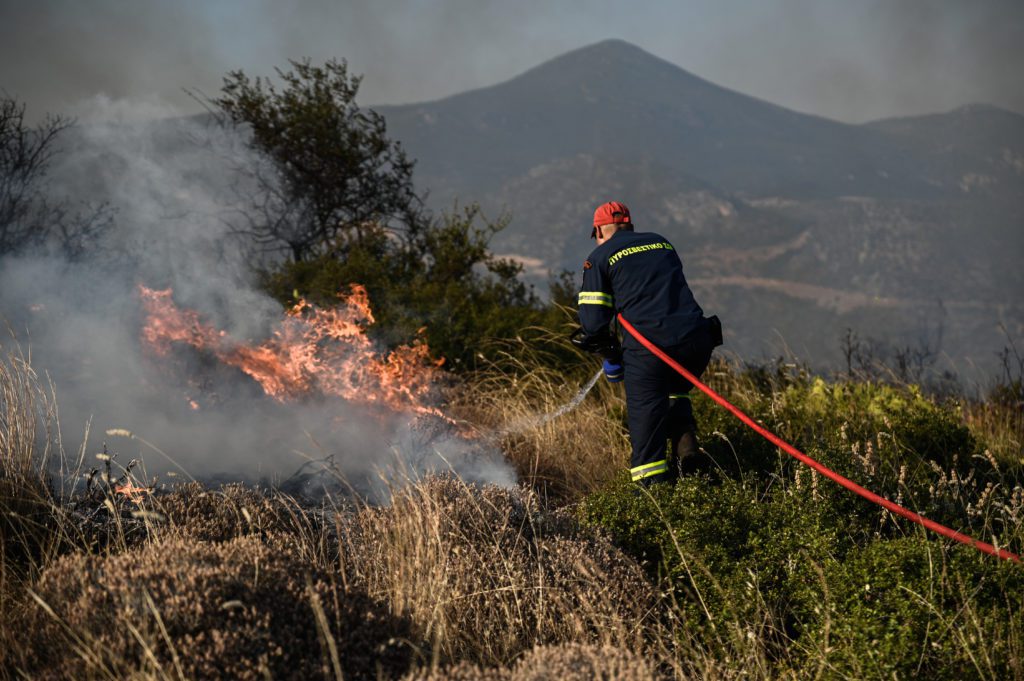 Φωτιά σε δασική έκταση στην Άρτα