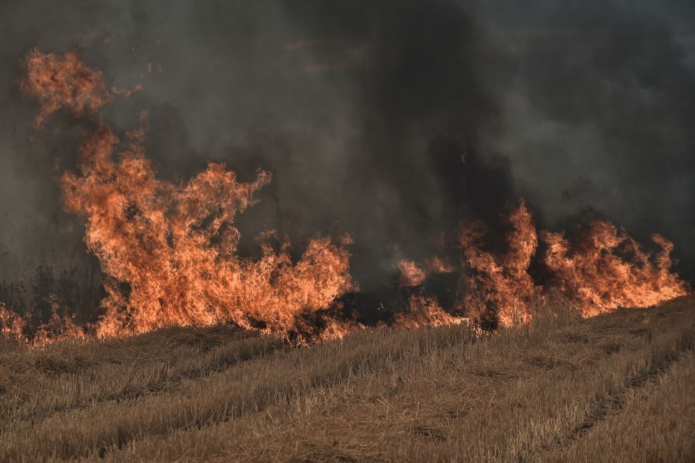 Πυρκαγιές στην Ελλάδα: Κάηκε έκταση μεγαλύτερη από το Λονδίνο – Σοκαριστικά στοιχεία για την ατμοσφαιρική ρύπανση