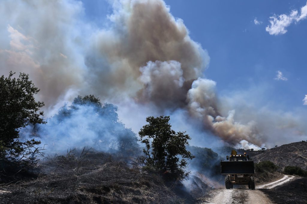 Δασικές πυρκαγιές: Ελλείψεις στην πρόληψη δείχνουν οι ειδικοί επιστήμονες