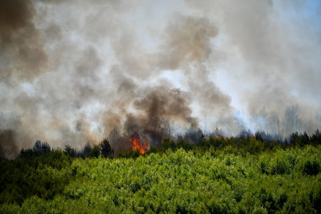 Σε επιφυλακή για αναζωπυρώσεις στην Ηλεία – Υψηλός κίνδυνος πυρκαγιάς για 6 περιφέρειες