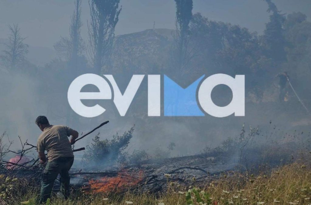 Νέα πυρκαγιά στην Κύμη – «Κοντά σε σπίτια», λέει ο αντιδήμαρχος