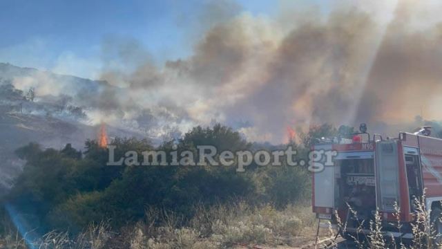 Λαμία: Μεγάλη φωτιά στον περιφερειακό της πόλης