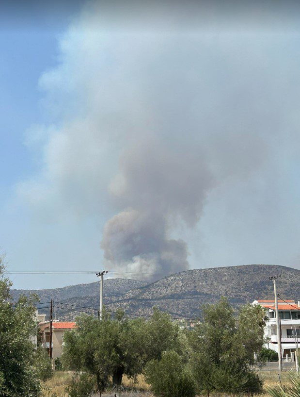 Φωτιά στη Μάνδρα: Νέα αναζωπύρωση στο Μελετάκι (Photos -Video)