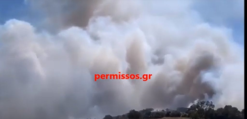 Φωτιά ξέσπασε στο Καπαρέλι Βοιωτίας (Video)