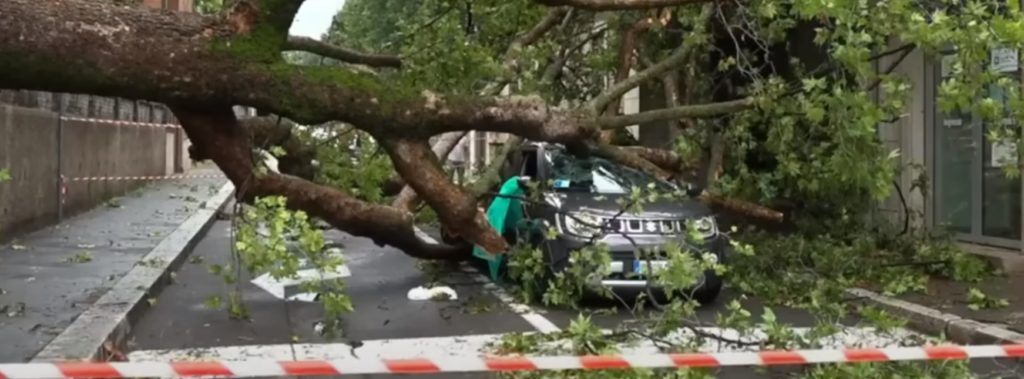 Κακοκαιρία στην Ιταλία: Δέντρο καταπλάκωσε και σκότωσε μια 16χρονη έξω από το Μιλάνο
